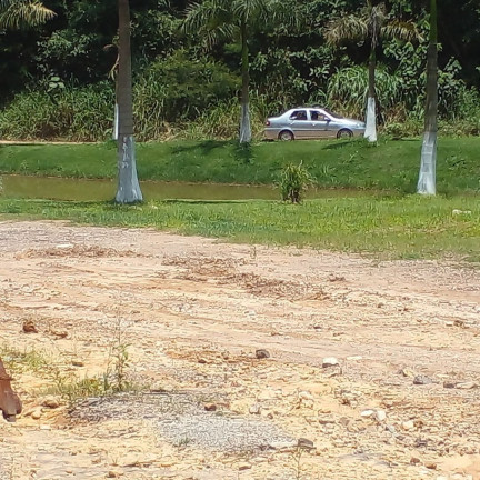Imagem Terreno à Venda, 350 m² em Parque Das Nações Unidas - Pirapora Do Bom Jesus Imagem Terreno à Venda, 350 m² em Parque Das Nações Unidas - Pirapora Do Bom Jesus