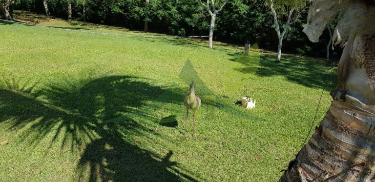 Imagem Chácara com 8 Quartos à Venda, 20.000 m² em Represa - Piracaia Imagem Chácara com 8 Quartos à Venda, 20.000 m² em Represa - Piracaia