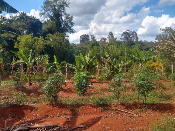 Imagem Chácara com 2 Quartos à Venda, 1 m² em Jardim Cananéia - Pilar Do Sul Imagem Chácara com 2 Quartos à Venda, 1 m² em Jardim Cananéia - Pilar Do Sul