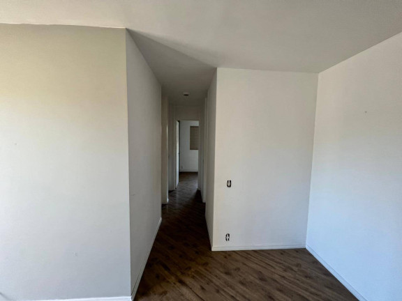 Imagem Apartamento com 4 Quartos à Venda, 62 m² em Vila Santa Catarina - São Paulo Imagem Apartamento com 4 Quartos à Venda, 62 m² em Vila Santa Catarina - São Paulo