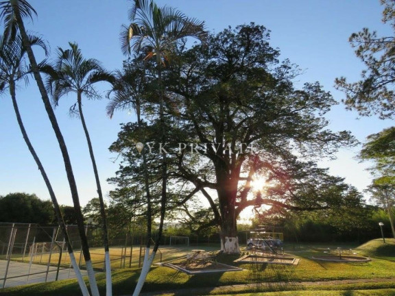 Imagem Imóvel com 6 Quartos à Venda, 24.540 m² em Centro - Araçoiaba Da Serra Imagem Imóvel com 6 Quartos à Venda, 24.540 m² em Centro - Araçoiaba Da Serra