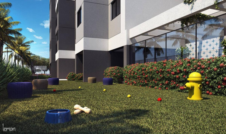 Imagem Apartamento com 2 Quartos à Venda, 55 m² Imagem Apartamento com 2 Quartos à Venda, 55 m²