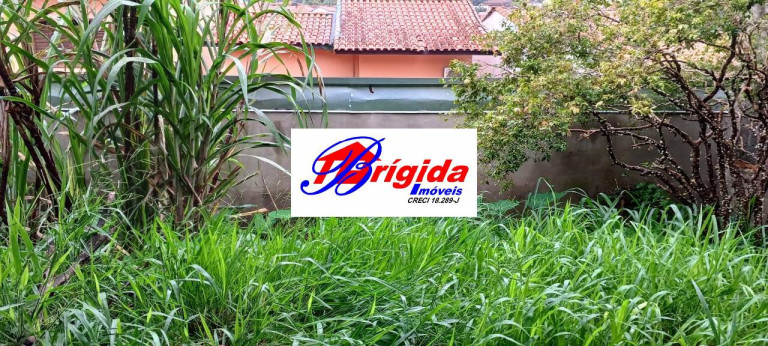 Imagem Terreno à Venda, 250 m² em Parque Sao George - Cotia Imagem Terreno à Venda, 250 m² em Parque Sao George - Cotia