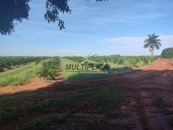 Imagem Fazenda à Venda, 72 m² em Guaraci Imagem Fazenda à Venda, 72 m² em Guaraci