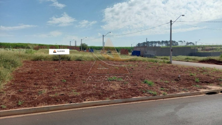 Terreno à Venda, 241 m² em Parque Das Oliveiras - Ribeirão Preto