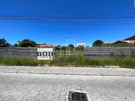 Imagem Terreno à Venda, 840 m² em São João Do Rio Vermelho - Florianópolis Imagem Terreno à Venda, 840 m² em São João Do Rio Vermelho - Florianópolis