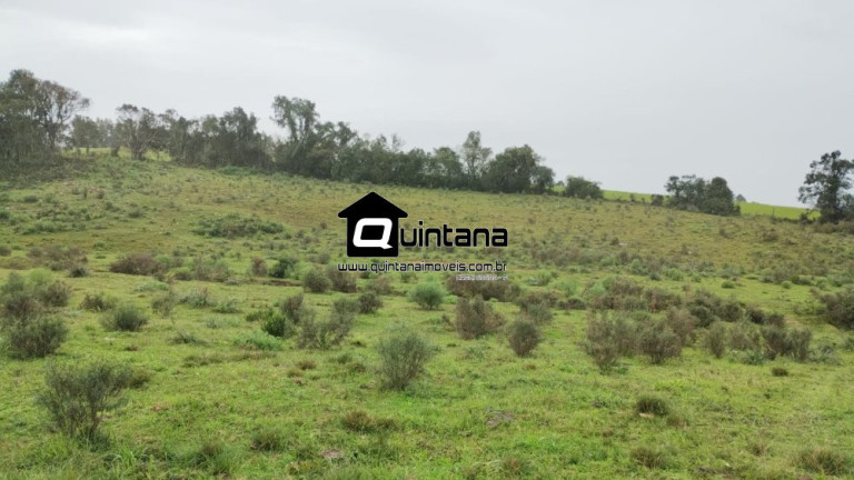 Imagem Imóvel com 2 Quartos à Venda, 600.000 m² em 5º Distrito - Canguçu