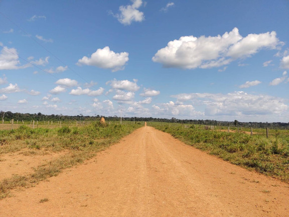 Imagem Fazenda à Venda,  em Sinop