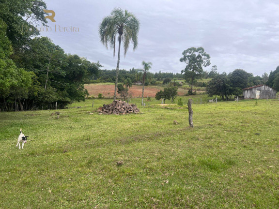 Imagem Chácara com 2 Quartos à Venda, 32.000 m² em Fazenda Fialho - Taquara