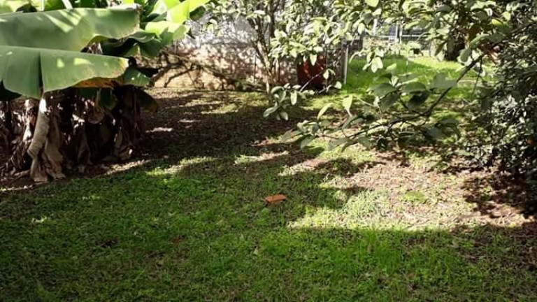 Imagem Terreno à Venda, em Arroio Da Manteiga - São Leopoldo Imagem Terreno à Venda, em Arroio Da Manteiga - São Leopoldo