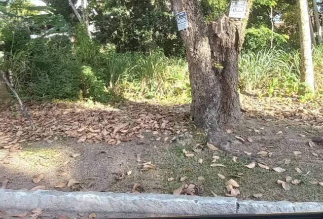 Terreno em Condomínio à Venda, 1 m² em Aldeia Dos Camarás - Camaragibe