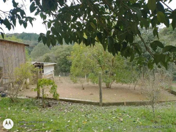 Imagem Imóvel com 4 Quartos à Venda, 22.000 m² em Areia Branca Dos Assis - Mandirituba