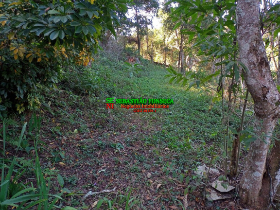 Imagem Chácara à Venda, 5.000 m² em Canaã Ll - Jambeiro Imagem Chácara à Venda, 5.000 m² em Canaã Ll - Jambeiro