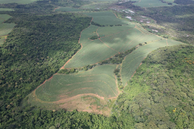 Imagem Fazenda à Venda, 53 m² em Zona Rural - Ibaté Imagem Fazenda à Venda, 53 m² em Zona Rural - Ibaté