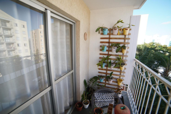 Imagem Apartamento com 2 Quartos à Venda, 60 m² em Vila Nova Teixeira - Campinas Imagem Apartamento com 2 Quartos à Venda, 60 m² em Vila Nova Teixeira - Campinas