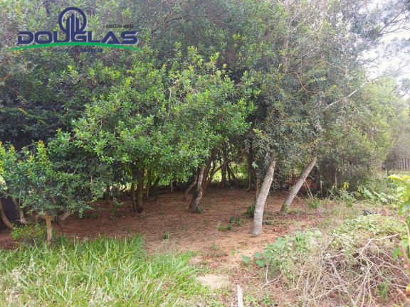 Imagem Casa à Venda, 530 m² em Viamão Imagem Casa à Venda, 530 m² em Viamão