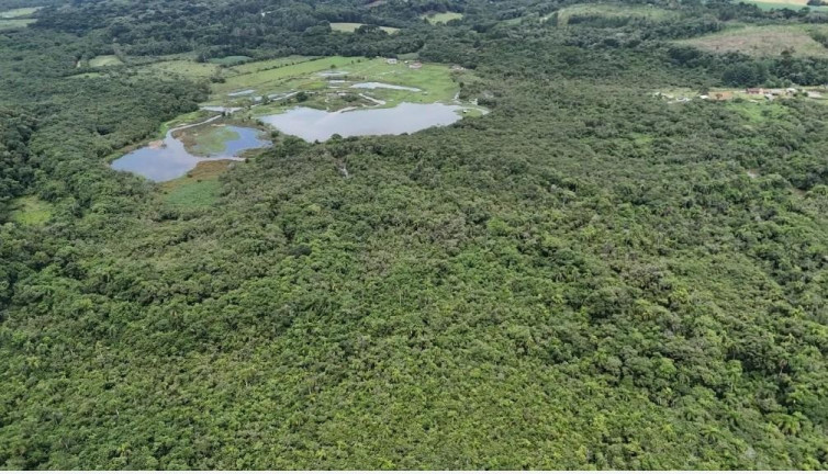 Imagem Fazenda à Venda, 242.000 m² em Rio Verde Abaixo - Araucaria Imagem Fazenda à Venda, 242.000 m² em Rio Verde Abaixo - Araucaria