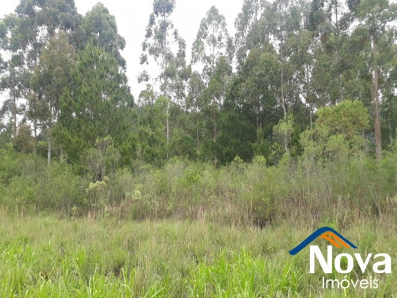Imagem Imóvel à Venda, 10.211 m² em Linha Araripe - Nova Petrópolis