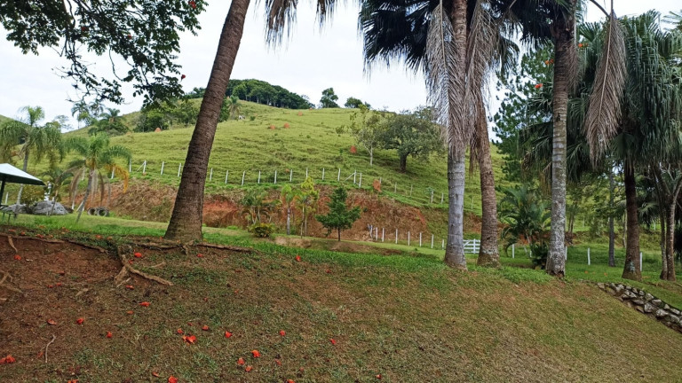 Imagem Fazenda à Venda, 300 m² em Bairro Da Pernambucana - São José Dos Campos
