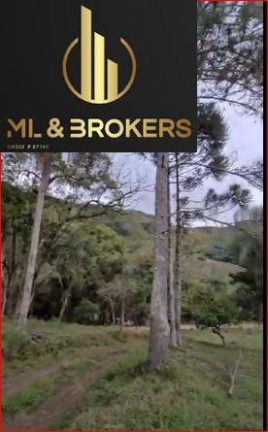 Imagem Imóvel com 2 Quartos à Venda, 24.000 m² em Pinhalzinho - Adrianopolis