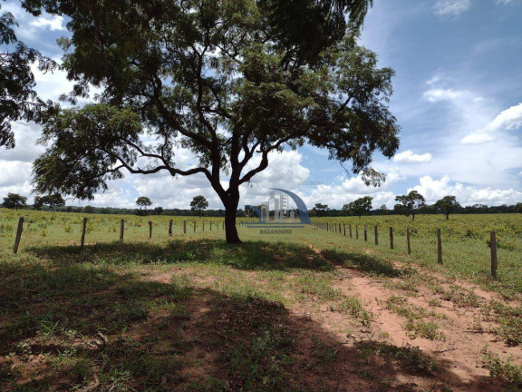 Imagem Fazenda à Venda, 10.210.000 m² em Centro - Ribas Do Rio Pardo Imagem Fazenda à Venda, 10.210.000 m² em Centro - Ribas Do Rio Pardo