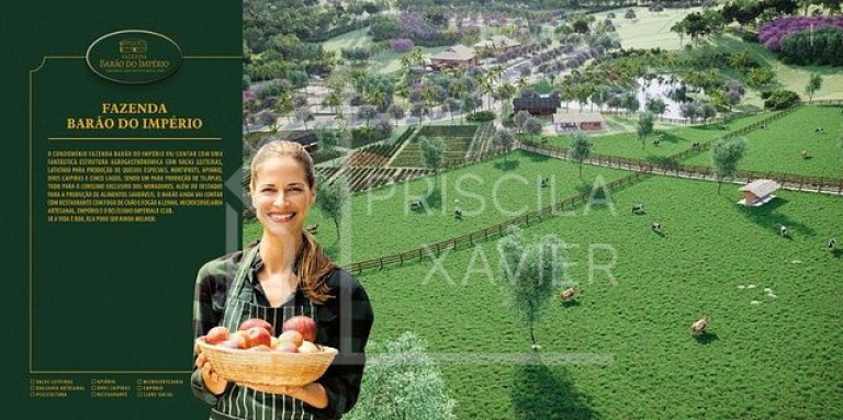 Imagem Terreno à Venda, 1.000 m² em Mangaraí - Santa Leopoldina Imagem Terreno à Venda, 1.000 m² em Mangaraí - Santa Leopoldina