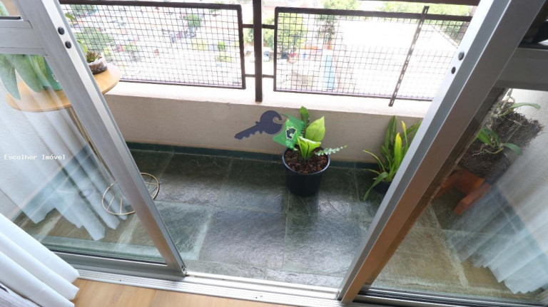 Imagem Apartamento com 3 Quartos à Venda, 69 m² em Vila Santa Catarina - São Paulo