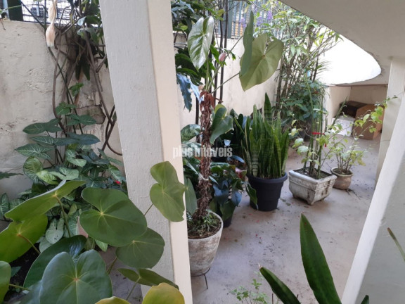 Imagem Apartamento com 1 Quarto à Venda, 60 m² em Vila Madalena - São Paulo Imagem Apartamento com 1 Quarto à Venda, 60 m² em Vila Madalena - São Paulo
