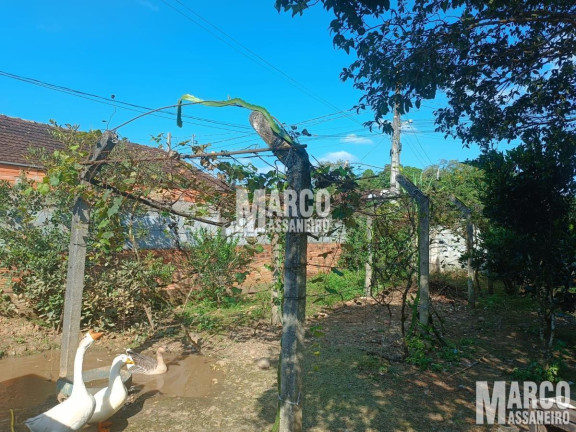 Imagem Casa com 3 Quartos à Venda, 1 m² em Santa Luzia - Jaraguá Do Sul Imagem Casa com 3 Quartos à Venda, 1 m² em Santa Luzia - Jaraguá Do Sul