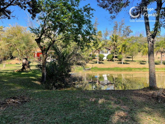Imagem Chácara com 2 Quartos à Venda, 20.000 m² em Luiz Gonzaga - Louveira Imagem Chácara com 2 Quartos à Venda, 20.000 m² em Luiz Gonzaga - Louveira