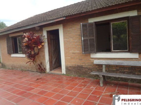 Imagem Imóvel com 3 Quartos à Venda, 45.000 m² em Zona Rural - Sentinela Do Sul Imagem Imóvel com 3 Quartos à Venda, 45.000 m² em Zona Rural - Sentinela Do Sul