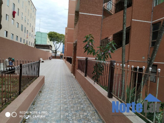 Imagem Apartamento com 3 Quartos à Venda, 56 m² em Conjunto Residencial Elisio Teixeira Leite - São Paulo