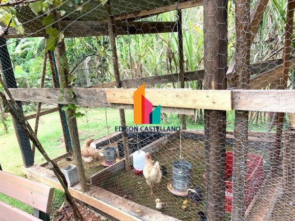 Imagem Imóvel com 4 Quartos à Venda, 4.200 m² em Marajoara - Campo Limpo Paulista Imagem Imóvel com 4 Quartos à Venda, 4.200 m² em Marajoara - Campo Limpo Paulista