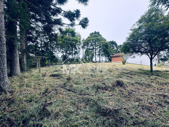 Imagem Chácara com 3 Quartos à Venda, 407 m² em Borda Do Campo (quatro Barras) Imagem Chácara com 3 Quartos à Venda, 407 m² em Borda Do Campo (quatro Barras)