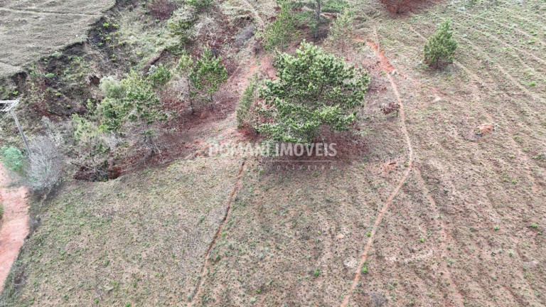 Imagem Terreno à Venda, 1.800 m² em Região De Descansópolis - Campos Do Jordão Imagem Terreno à Venda, 1.800 m² em Região De Descansópolis - Campos Do Jordão