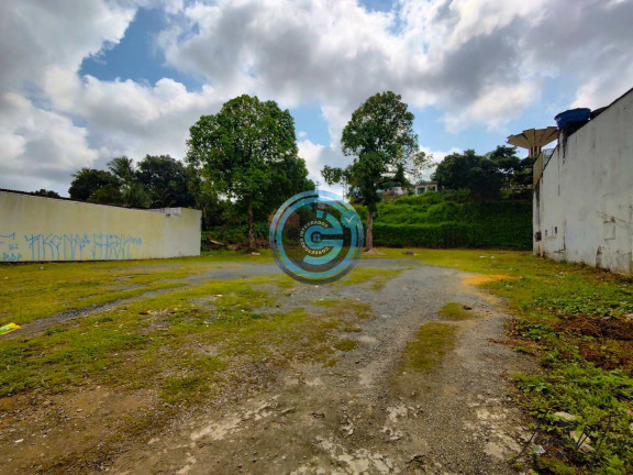 Imagem Terreno à Venda, 3.800 m² em Centro - Abreu E Lima