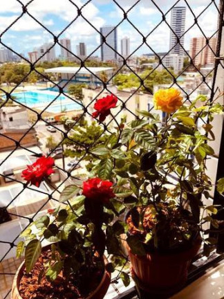 Apartamento com 2 Quartos à Venda, 46 m² em Boa Viagem - Recife