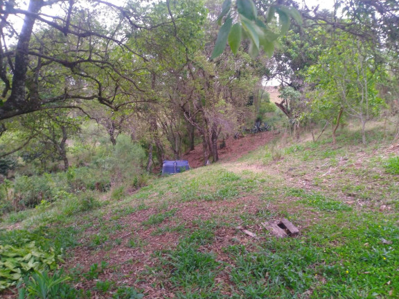 Imagem Chácara com 3 Quartos à Venda, 350 m² em Rio Abaixo - Bragança Paulista Imagem Chácara com 3 Quartos à Venda, 350 m² em Rio Abaixo - Bragança Paulista