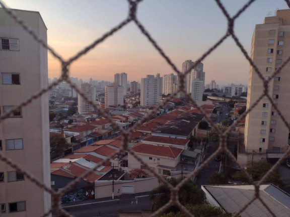 Imagem Apartamento com 3 Quartos à Venda, 67 m² em Vila Moraes - São Paulo Imagem Apartamento com 3 Quartos à Venda, 67 m² em Vila Moraes - São Paulo