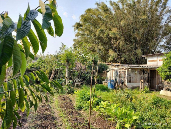 Imagem Terreno à Venda, 1 m² em São João - Itajaí Imagem Terreno à Venda, 1 m² em São João - Itajaí