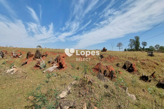 Imagem Terreno à Venda, 230.000 m² em Jardim Cruzeiro Do Sul - Jaguariúna Imagem Terreno à Venda, 230.000 m² em Jardim Cruzeiro Do Sul - Jaguariúna