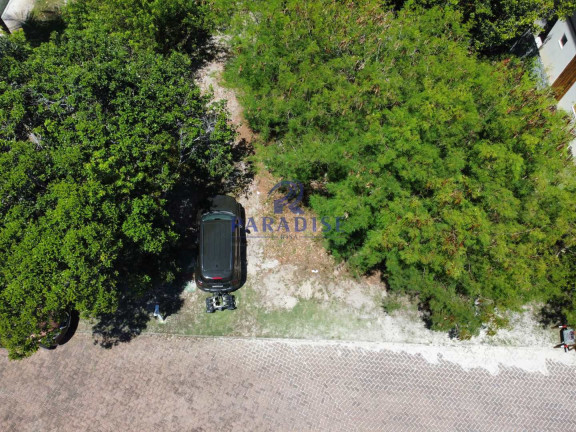 Imagem Terreno à Venda, 350 m² em Praia Do Forte - Mata De São João Imagem Terreno à Venda, 350 m² em Praia Do Forte - Mata De São João