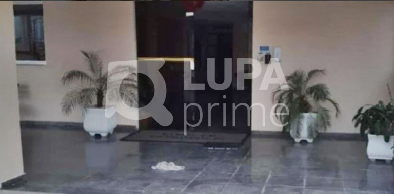 Imagem Apartamento com 2 Quartos à Venda, 70 m² em Vila Aurora (zona Norte) - São Paulo Imagem Apartamento com 2 Quartos à Venda, 70 m² em Vila Aurora (zona Norte) - São Paulo