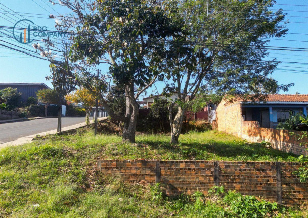 Imagem Terreno à Venda, 252 m² em Vila São João - Irati Imagem Terreno à Venda, 252 m² em Vila São João - Irati