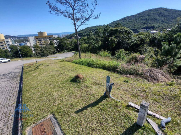 Imagem Terreno à Venda, 638 m² em Itacorubi - Florianópolis