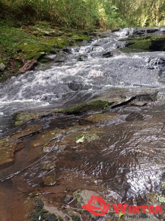 Imagem Chácara à Venda, 56 m² em Linha Nova Baixa - Presidente Lucena Imagem Chácara à Venda, 56 m² em Linha Nova Baixa - Presidente Lucena