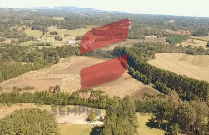 Imagem Terreno à Venda, 20.045 m² em Roseira - São José Dos Pinhais
