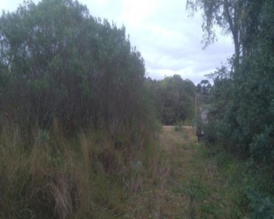 Imagem Terreno à Venda, 7 m² em Linha Nova - Linha Nova