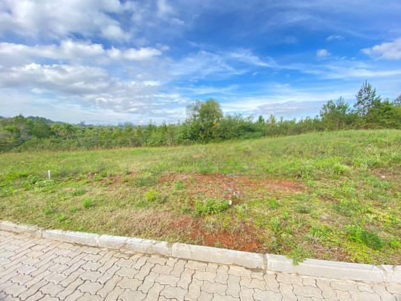 Imagem Terreno à Venda, 321 m² em Linha Santa Cruz - Santa Cruz Do Sul