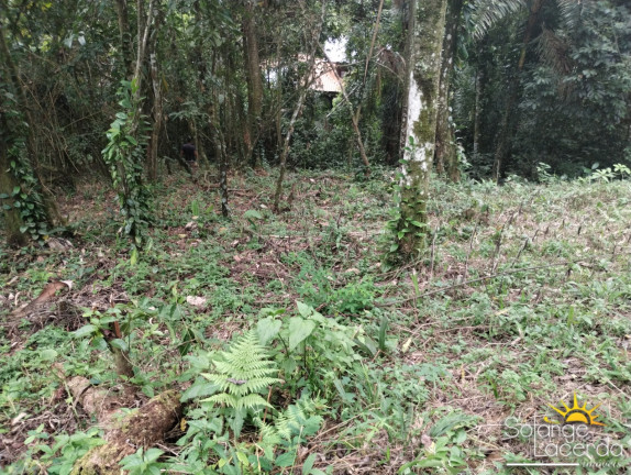 Imagem Terreno à Venda, 700 m² em Felix - Ubatuba Imagem Terreno à Venda, 700 m² em Felix - Ubatuba